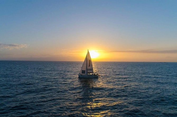 Premium All Inclusive Whale & Dolphin Watching Experience - The Boat Setup: A Yacht-Style Ride for Small Groups