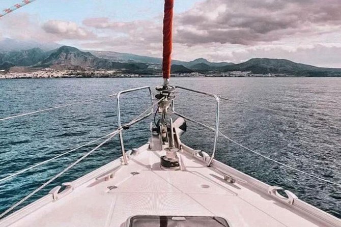 Premium All Inclusive Whale & Dolphin Watching Experience - Snorkeling and the Atlantic Swim Stop