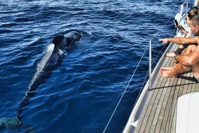 Premium Yacht Private Charter - Puerto Colón and the start of your 3-hour cruise