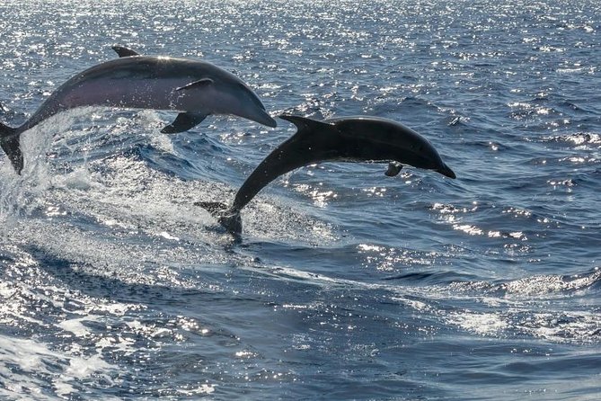 Premium Yacht Private Charter - Booking support: instant confirmation and helpful coordinators