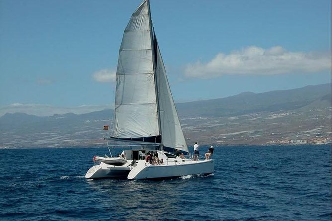 Prestigious cruiser private charter - Key Things to Know Before You Go