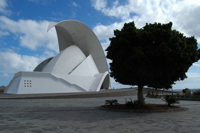 Private 4-hour Tour of Santa Cruz de Tenerife with Hotel or Cruise Port pick-up - The private vehicle + official guide: what’s really included