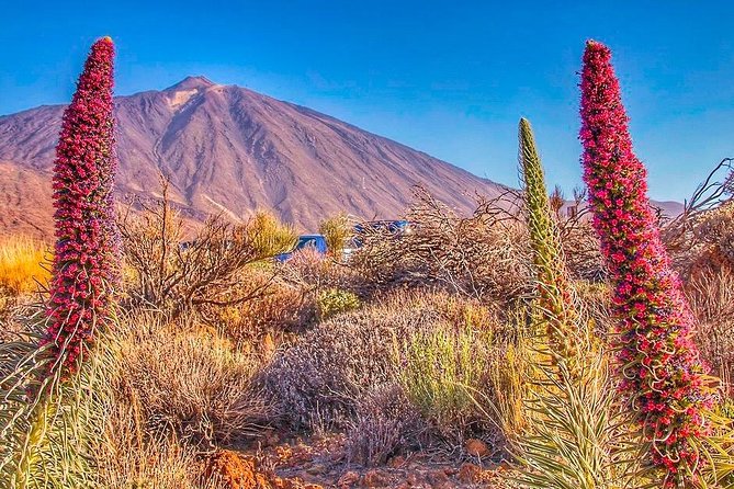 Private 8 hours Tour to El Teide from Tenerife Hotel with driver/guide - Teide feels calmer when you drive yourself out of the crowd