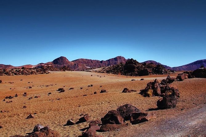 Private 8 hours Tour to El Teide from Tenerife Hotel with driver/guide - Volcán El Teide: the cable car time and what you do with it