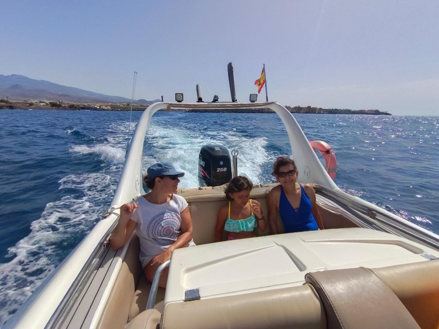 Private Boat Excursion: 2 to 6 Hours of Seaside Bliss - Sea Life Magic: How to Think About Sightings