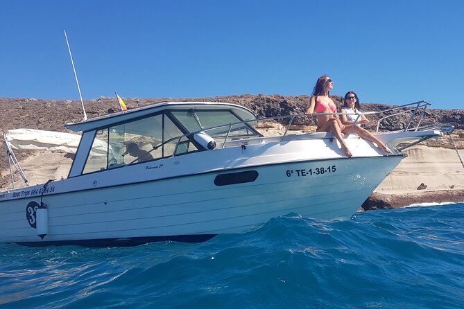 Private boat tour - The captain and how wildlife spotting feels in practice