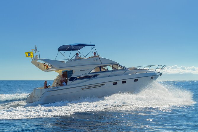 Private Boat Tour on Royal Ocean Yacht, Tenerife - Stop 1: Marina South and the whale-and-dolphin search
