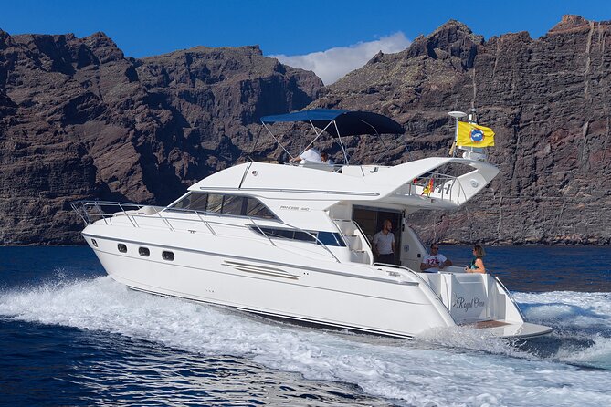 Private Boat Tour on Royal Ocean Yacht, Tenerife - Onboard comfort that actually matters: seating, restroom, and gear