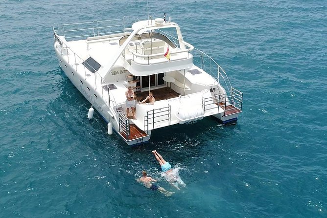 Private Catamaran Charter with Transfer, Buffet and Snorkeling - Sea turtles, whales, dolphins: what to expect vs. what to plan for