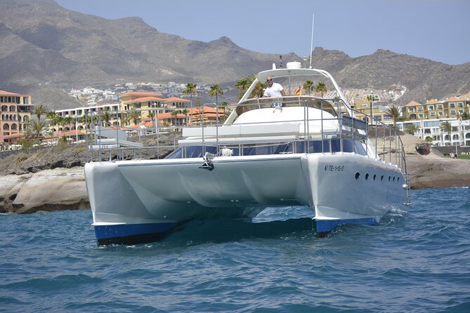 Private Catamaran Charter with Transfer, Buffet and Snorkeling - The “private” part: group size, pacing, and why it matters