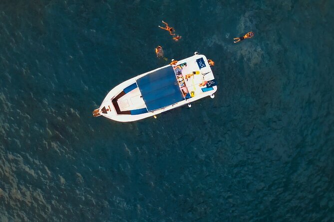 private charter 3 Hours Whale Encounter puerto colon adeje - The family-friendly touches that make this feel different