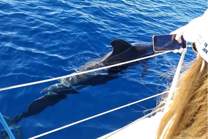 Private Charter in Tenerife south max 7 people - Tips to get the most out of your 3 hours