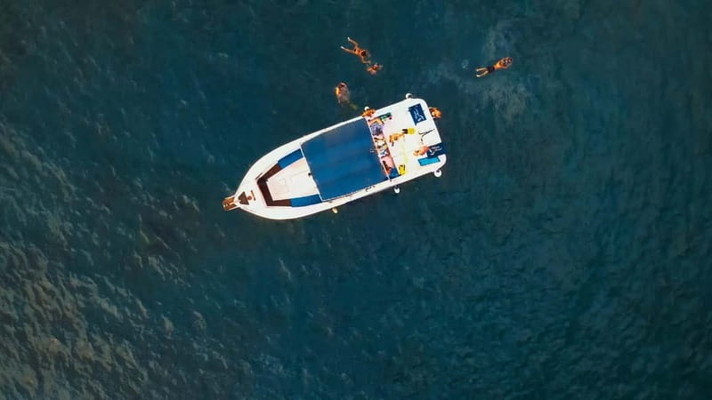 Private Charter Private Charter to see the whales - 3 Hours - Key points at a glance