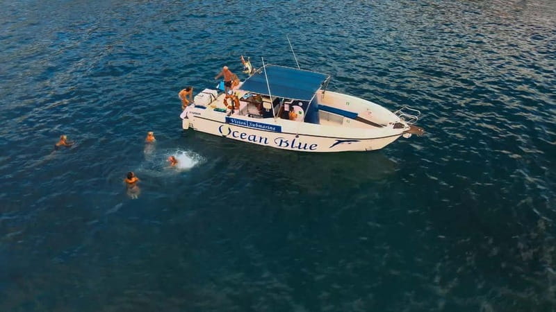 Private Charter Private Charter to see the whales - 3 Hours - The 3-hour flow: Lina Yacht to Puerto Colón and back