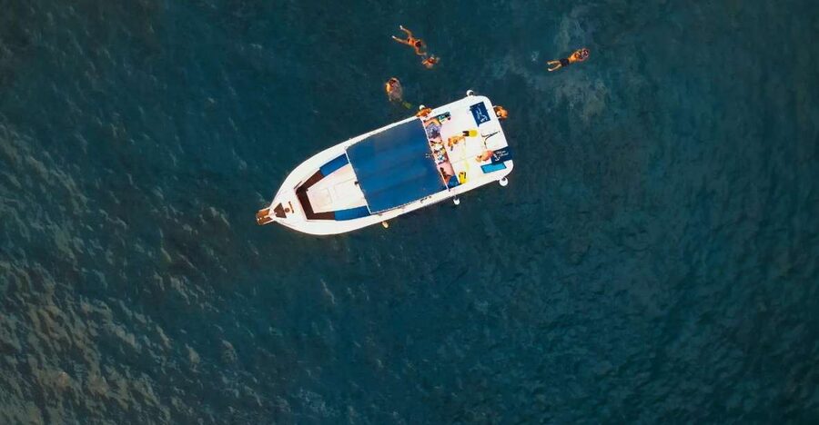 Private Charter Private Charter to see the whales - 3 Hours - Glass-bottom underwater viewing: what it adds to whale watching