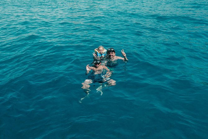 Private Charter: Yacht Rental in Tenerife (Adeje) - Whale Watching That’s Legal and Conservation-Minded (Blue Boat Certified)