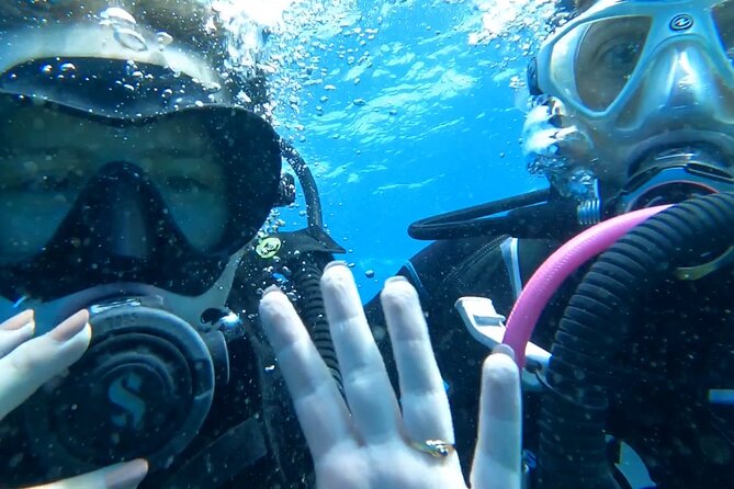 Private Dive Discovery for Beginners from a Boat - Key things that make this experience worth your time