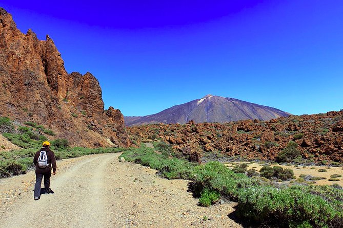 Private Full Day Tour to the Top of the Teide: go hiking and return in cable car - 7:30 am starts, pickup comfort, and how the day is paced