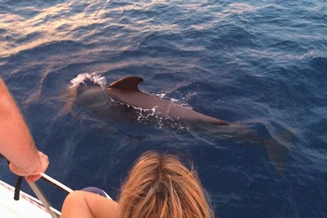Private Glamorous Speedboat in Tenerife with Snacks & Drinks - Price and What You’re Really Paying For at $541.85