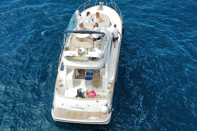 Private Luxury Motor Boat 2, 3 and 4 Hour Charters - Wildlife Watching: Dolphins, Pilot Whales, and Sea Turtles (When Conditions Help)