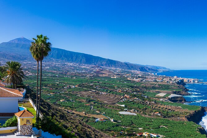 Private nature and culture tour of Teide and northern Tenerife - Mirador de Chipeque: Orotava Valley, Teide, and the sea-of-clouds mood