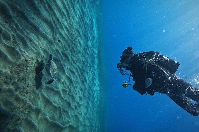 Private Scuba Diving in Tenerife – Certified Instructor & Photos - Hotel pickup to Los Cristianos: the easy start