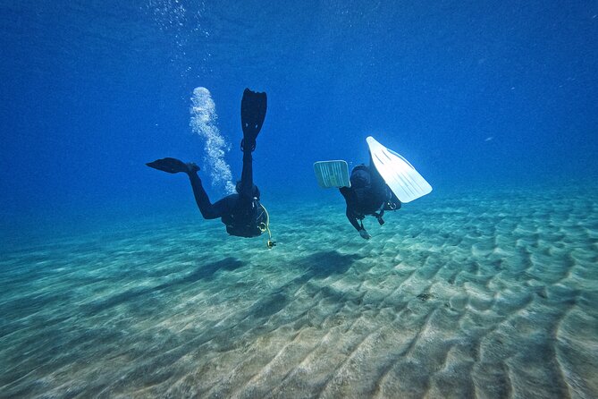 Private Scuba Diving in Tenerife – Certified Instructor & Photos - Your 30-minute underwater time: guided, beginner-friendly, and close to life