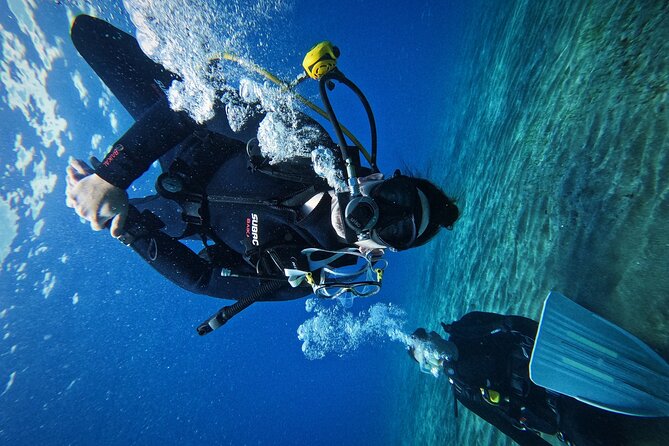 Private Scuba Diving in Tenerife – Certified Instructor & Photos - Free underwater photos and videos: the memory you can actually use