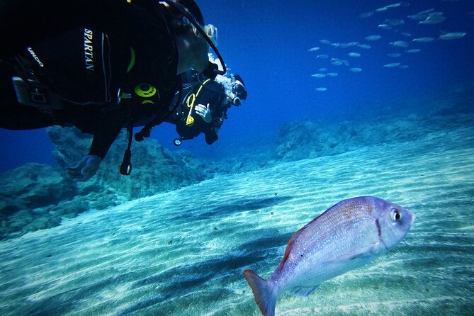 Private Scuba Diving in Tenerife – Certified Instructor & Photos - Safety rules you should treat as non-negotiable