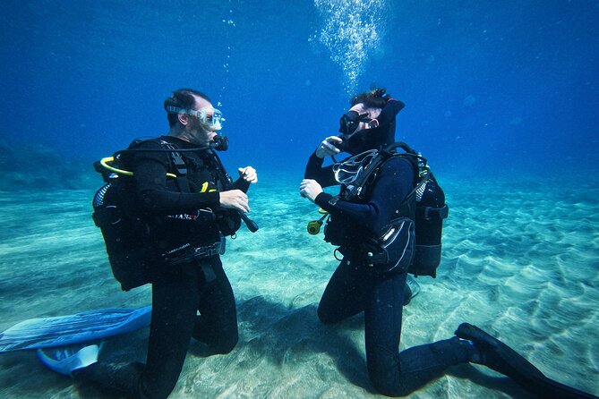 Private Scuba Diving in Tenerife – Certified Instructor & Photos - Gear fitting and what to expect before you touch the water