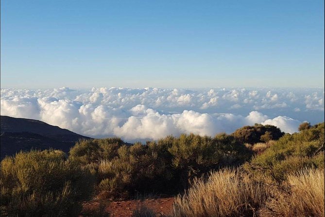 Private Shore Excursion in Tenerife from your Cruise Ship - Why This Tenerife Shore Excursion Works for Cruise Days