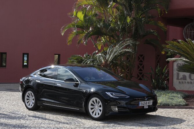 Private South Tenerife Airport Transfer to South Hotels - Key Points That Matter