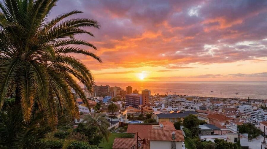 Private Teide & North Tenerife: Volcano, Valleys & Old Towns - Key things that make this tour a smarter choice