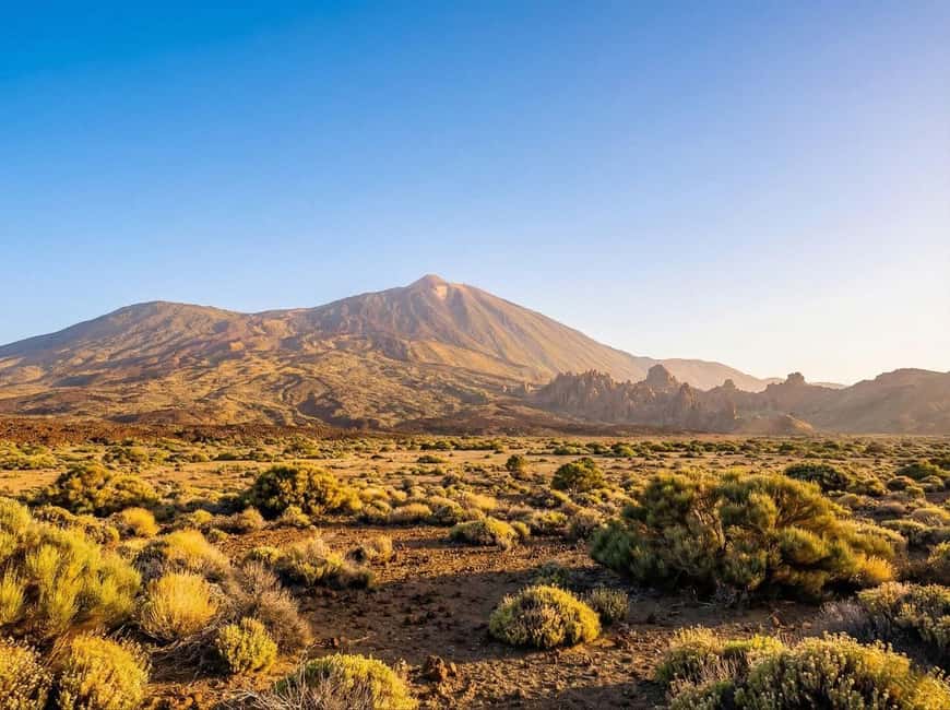 Private Teide & North Tenerife: Volcano, Valleys & Old Towns - Food and drink options: lactose-free and vegetarian planning