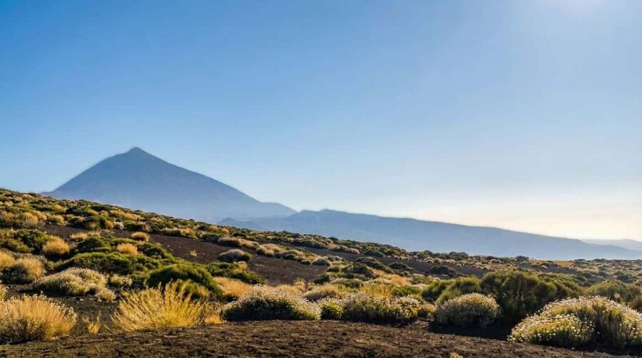 Private Teide & North Tenerife: Volcano, Valleys & Old Towns - The 7.5-hour flow: volcano views, then old-town streets