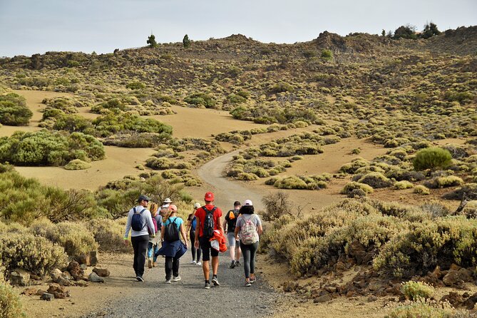 PRIVATE TOUR Teide National Park: Hiking and Stargazing - The ascent plan: pine forest, scenic stops, and an intermediate pace