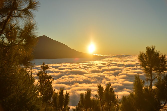 PRIVATE TOUR Teide National Park: Hiking and Stargazing - Who this tour suits best (and who should skip it)