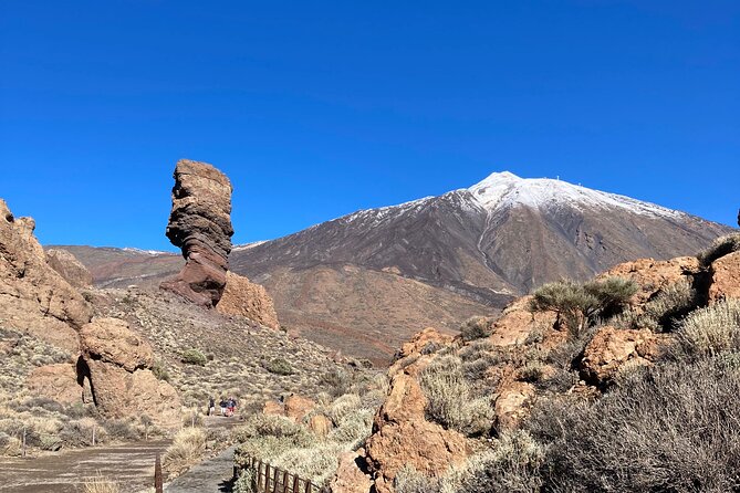 Private tour Teide National Park minimun 3 persons - Why a private Teide National Park tour is worth the setup