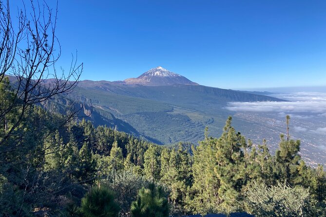 Private tour Teide National Park minimun 3 persons - The 6-hour rhythm: how the day actually feels