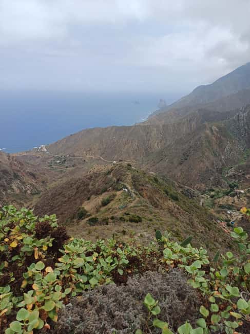 Private Tour Tenerife: Anaga, Taganana, Benijo & La laguna - An 8-hour private loop from Los Cristianos to La Laguna