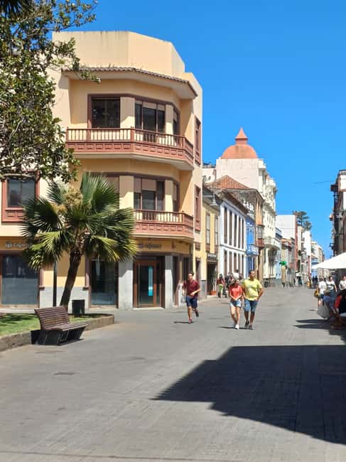 Private Tour Tenerife: Anaga, Taganana, Benijo & La laguna - Comfort details that actually matter on a long day