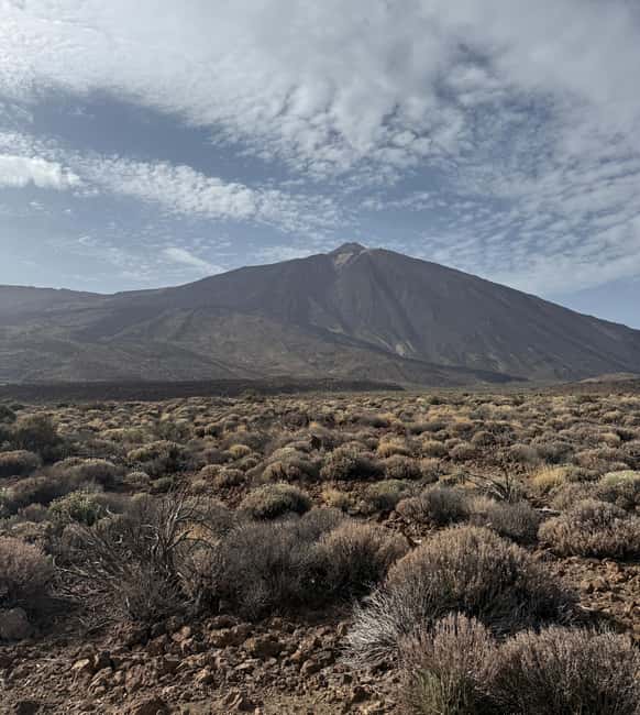 Private tour Tenerife: Teide National Park + Restaurant - Key highlights you’ll feel on the day