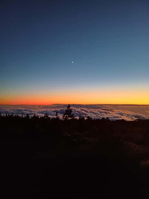 Private tour Tenerife: Teide National Park + Restaurant - Price and value: what $123 per person really covers