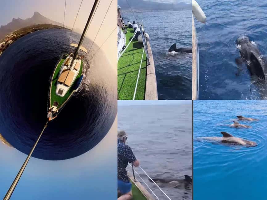 Private Whales & Dolphins Excursion: for you exclusively! - The 3-hour format: exactly long enough to feel like a real outing