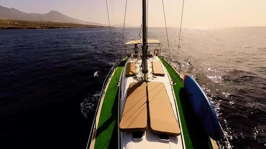 Private Whales & Dolphins Excursion: for you exclusively! - Private group up to 12: why exclusivity changes the mood
