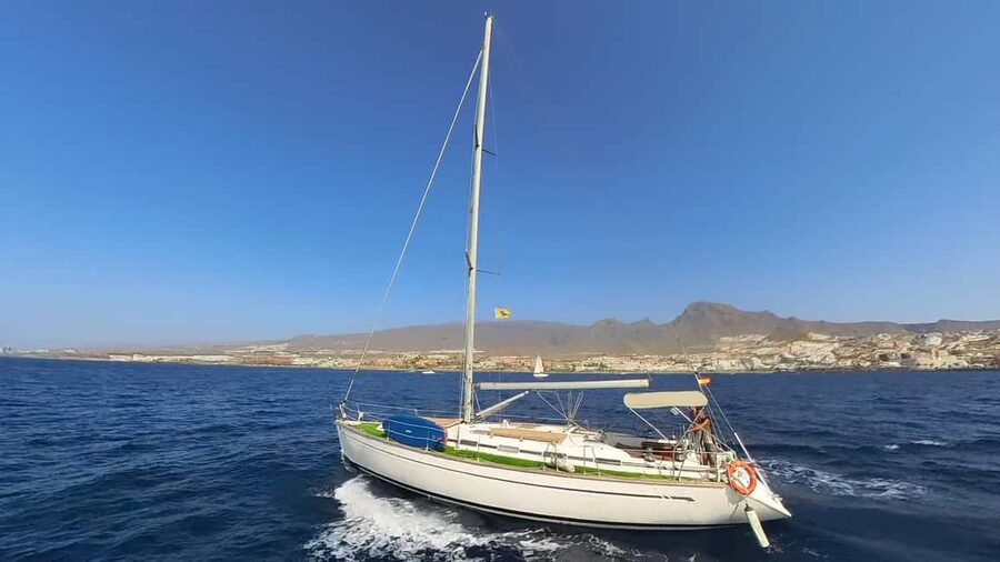 Private Whales & Dolphins Excursion: for you exclusively! - Practical tips that keep you comfortable (and ready to swim)