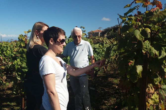 Private Wine Tasting Tour - Combining Wine With Teide Sightseeing (Yes, That Can Be Done)