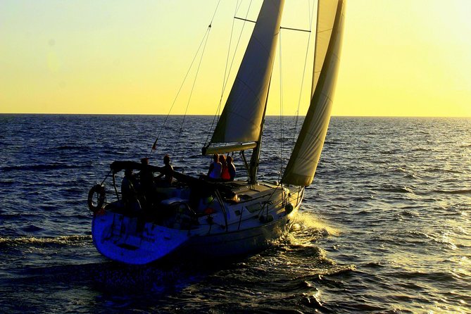 Private Yacht Excursion from Puerto Colon 3 hours - At Sea for Whales, Dolphins, and Birds: What the Search Really Looks Like