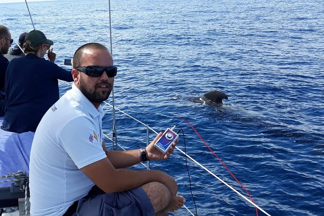 Private Yacht Tour With Whale and Dolphin Watching 42 Foot Boat - Price and value: $716.45 per group can pencil out well