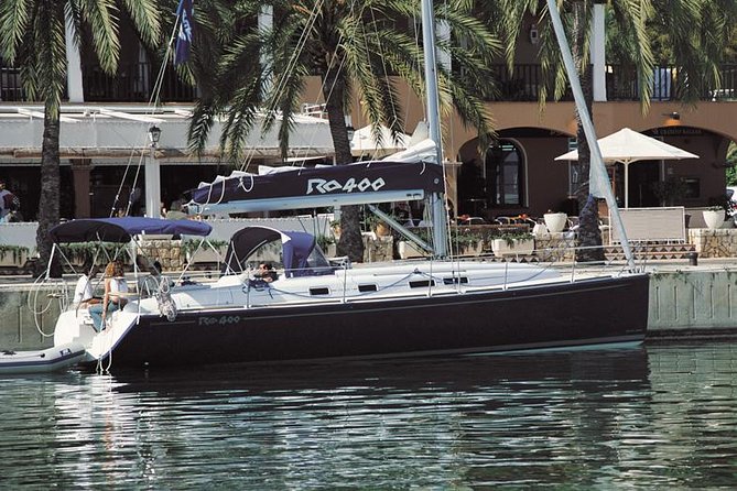 Private Yacht Tour With Whale and Dolphin Watching 42 Foot Boat - Whale and dolphin watching with sonar: what to expect realistically